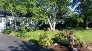 Once again, the birds sing www.jessicamcollette.com