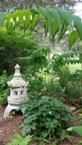 Once again, the birds sing www.jessicamcollette.com