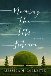 Naming The Bits Between - A Novel