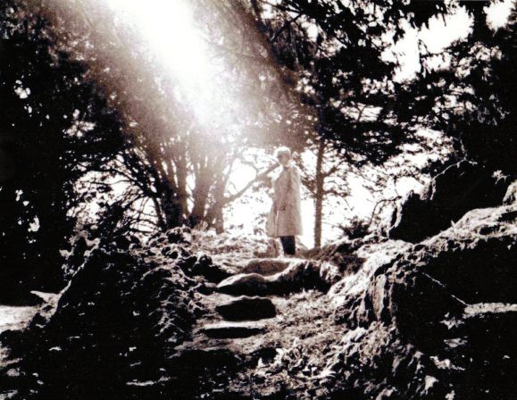 Ireland's Rose www.jessicamcollette.com