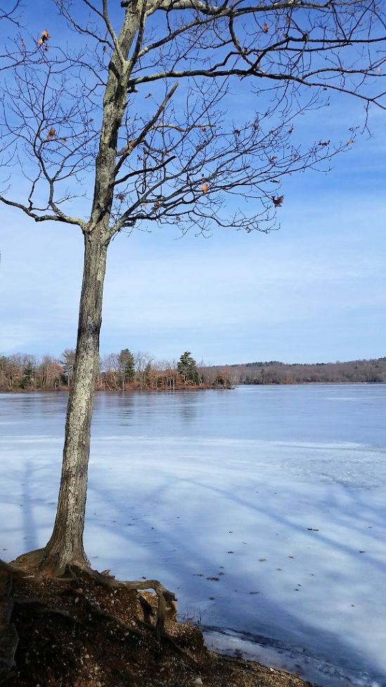 The Promise of a New Day www.jessicamcollette.com