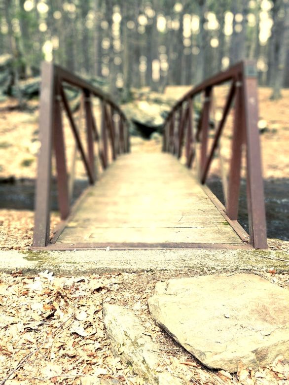 Bridge of Chance www.jessicamcollette.com