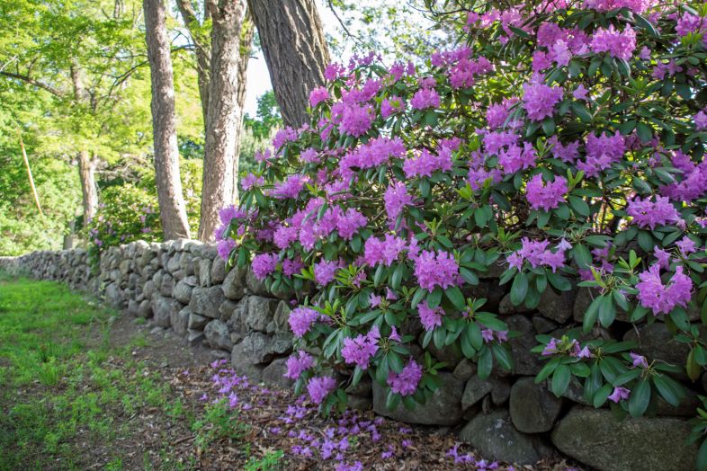 Rise Above - www.jessicamcollette.com