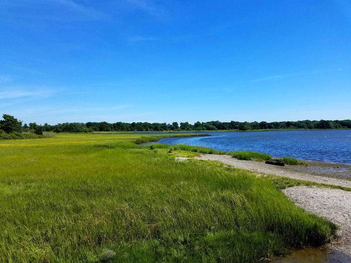 Masterpiece www.jessicamcollette.com