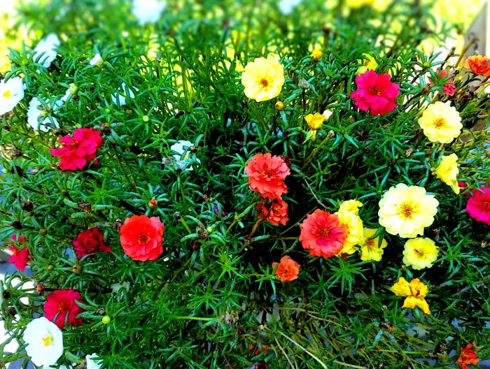 Happy Place www.jessicamcollette.com