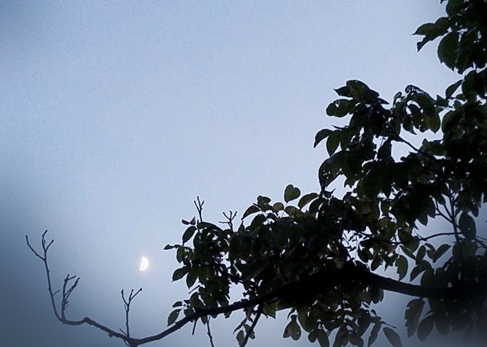 Lunar Lullaby www.jessicamcollette.com