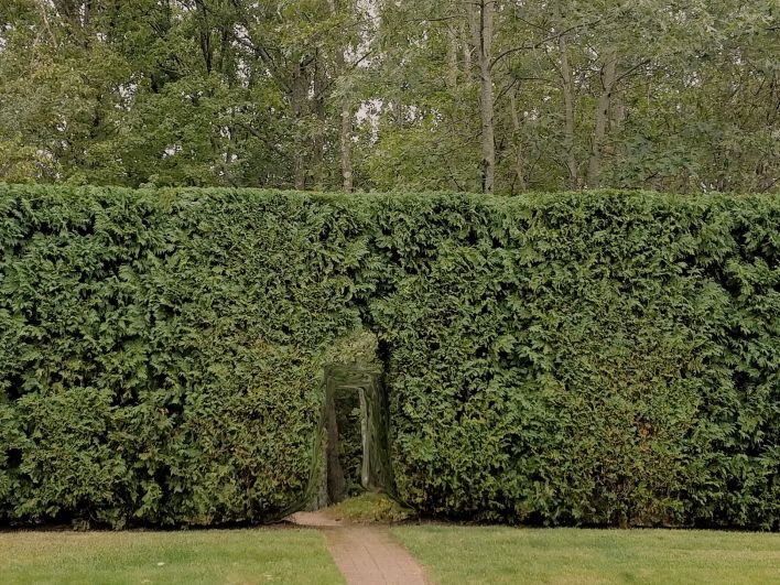 Wonderland www.jessicamcollette.com