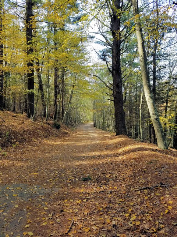 Fade www.jessicamcollette.com