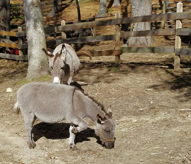 Two www.jessicamcollette.com